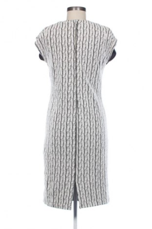 Sukienka Camaieu, Rozmiar XL, Kolor Kolorowy, Cena 104,99 zł