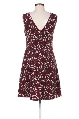 Šaty  Dorothy Perkins, Veľkosť L, Farba Viacfarebná, Cena  11,95 €