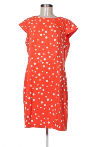 Šaty  Dressbarn, Velikost M, Barva Vícebarevné, Cena  69,00 Kč