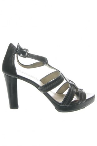 Σανδάλια Penny Black, Μέγεθος 40, Χρώμα Μαύρο, Τιμή 36,95 €