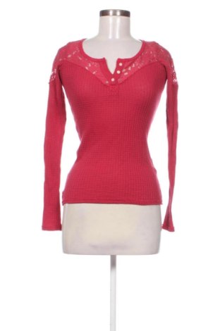 Damen Shirt Hollister, Größe XS, Farbe Rot, Preis 15,00 €, #137942599