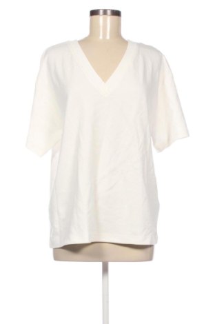 Damen Shirt Bershka, Größe L, Farbe Ecru, Preis 15,43 €, #137980188