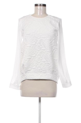 Damen Shirt Koton, Größe XS, Farbe Weiß, Preis 6,10 €, #137990430