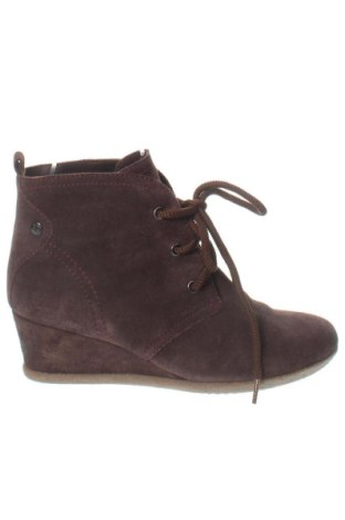 Damen Stiefeletten Geox, Größe 41, Farbe Braun, Preis € 77,16, #137974202