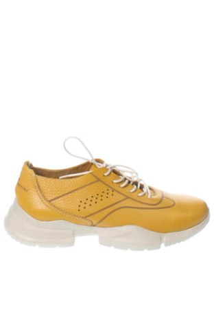 Damenschuhe Enzo Bertini, Größe 39, Farbe Orange, Preis € 46,67, #137979381