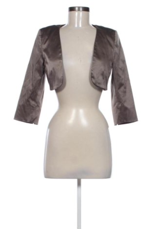 Damen Blazer Steps, Größe S, Farbe Braun, Preis 11,05 €, #137947651