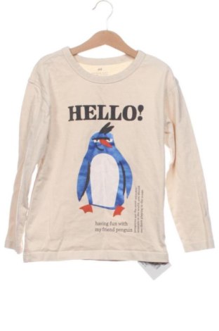 Detská blúzka  H&M, Veľkosť 6-7y/ 122-128 cm, Farba Kremová, Cena  6,77 €, #137968137