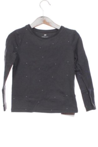 Gyerek blúz H&M, Méret 4-5y / 110-116 cm, Szín Szürke, Ár 2 297 Ft, #137982381
