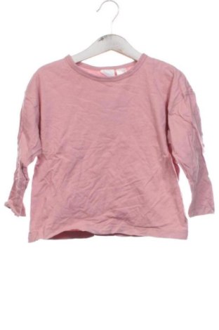 Kinder Shirt Zara, Größe 2-3y/ 98-104 cm, Farbe Rosa, Preis 9,89 €, #137983632