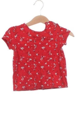 Dziecięcy T-shirt Baby Club, Rozmiar 12-18m/ 80-86 cm, Kolor Kolorowy, Cena 24,20 zł, #137975963