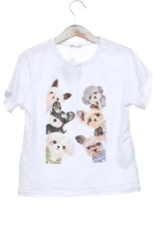 Dziecięcy T-shirt Lollitop, Rozmiar 6-7y/ 122-128 cm, Kolor Biały, Cena 29,63 zł, #137942676