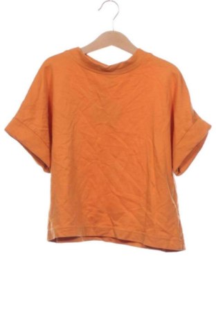 Dziecięcy T-shirt Zara, Rozmiar 5-6y/ 116-122 cm, Kolor Pomarańczowy, Cena 26,62 zł, #137975794