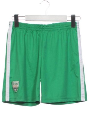 Kinder Shorts Unbranded, Größe 9-10y/ 140-146 cm, Farbe Grün, Preis € 8,00, #137964960
