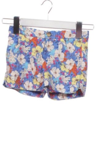 Kinder Shorts Zara, Größe 6-7y/ 122-128 cm, Farbe Mehrfarbig, Preis € 11,00, #137961664