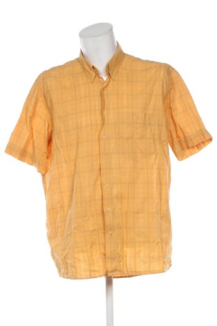Herrenhemd Dornbusch, Größe XL, Farbe Mehrfarbig, Preis 14,10 €, #137974455