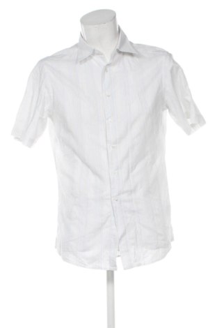 Herrenhemd Sergio, Größe L, Farbe Mehrfarbig, Preis 13,72 €, #137975037