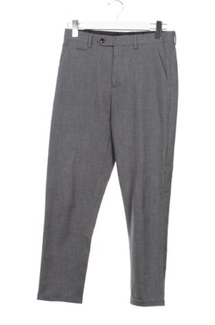Herrenhose Zara, Größe S, Farbe Grau, Preis 12,00 €, #137945729
