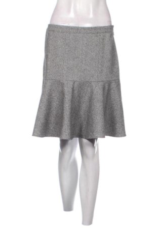 Fustă Tu, Mărime L, Culoare Multicolor, Preț 45,72 Lei, #137945848