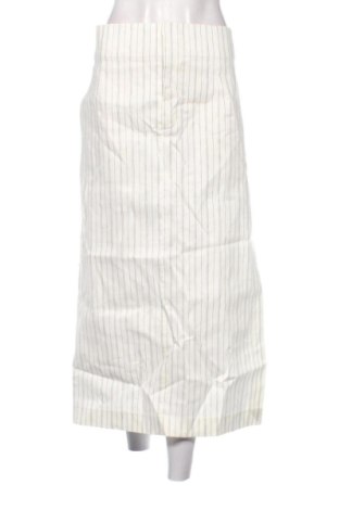 Fustă Zara, Mărime XXL, Culoare Multicolor, Preț 157,47 Lei, #137947240