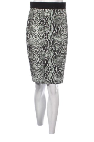 Fustă Bobo Zander, Mărime S, Culoare Multicolor, Preț 47,24 Lei, #137979984