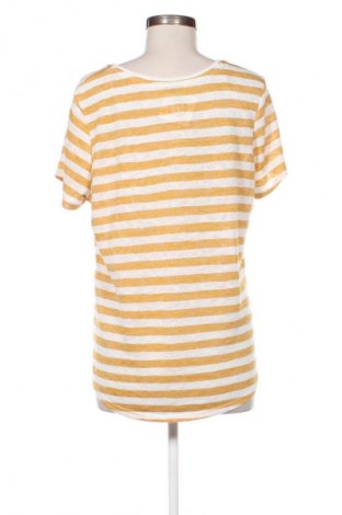 Γυναικεία μπλούζα Papaya, Μέγεθος XL, Χρώμα Πολύχρωμο, Τιμή 5,99 €