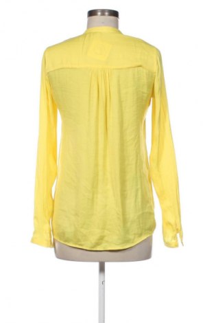 Damen Shirt Zara Trafaluc, Größe XS, Farbe Gelb, Preis € 2,99