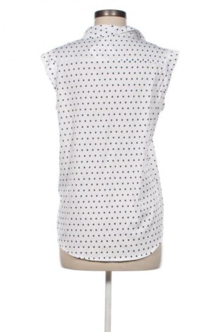 Dámska košeľa  Calliope, Veľkosť L, Farba Viacfarebná, Cena  4,95 €