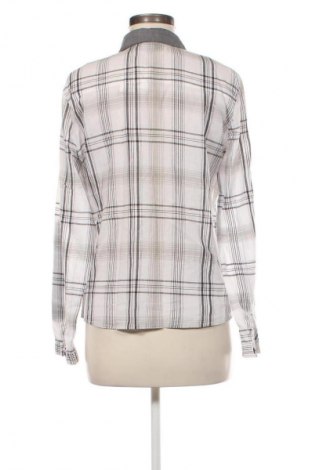 Damenbluse My Brand, Größe L, Farbe Mehrfarbig, Preis € 4,99