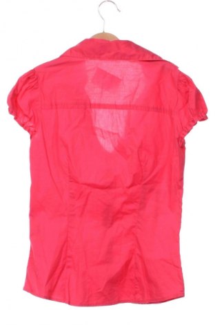 Damenbluse Terranova, Größe XS, Farbe Rosa, Preis € 3,99