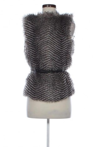 Γυναικείο γιλέκο Unbranded, Μέγεθος S, Χρώμα Πολύχρωμο, Τιμή 11,99 €