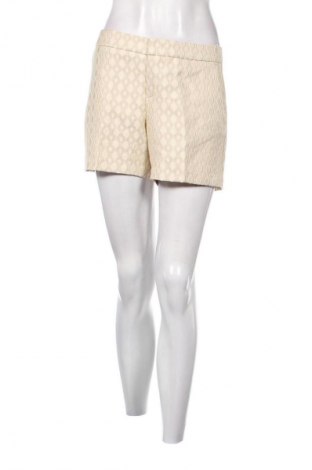 Damen Shorts United Colors Of Benetton, Größe L, Farbe Mehrfarbig, Preis € 7,99