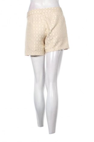 Damen Shorts United Colors Of Benetton, Größe L, Farbe Mehrfarbig, Preis € 7,99