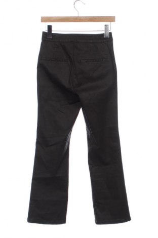 Damenhose Massimo Dutti, Größe XS, Farbe Grün, Preis 31,99 €