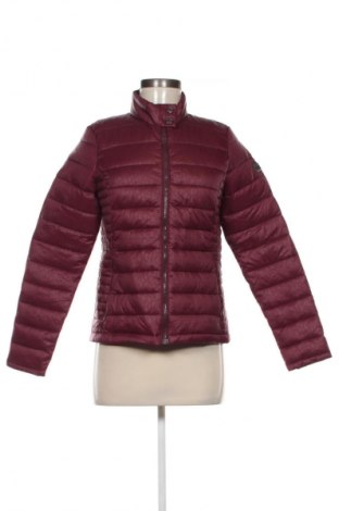 Dámská bunda  Regatta, Velikost XS, Barva Červená, Cena  1 397,00 Kč