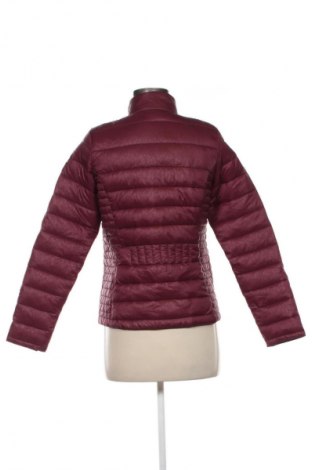 Dámská bunda  Regatta, Velikost XS, Barva Červená, Cena  1 397,00 Kč