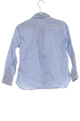 Dziecięca koszula Polo, Rozmiar 2-3m/ 56-62 cm, Kolor Kolorowy, Cena 134,99 zł