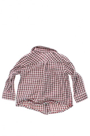 Kinderhemd Unbranded, Größe 6-9m/ 68-74 cm, Farbe Mehrfarbig, Preis 1,99 €