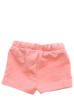 Dziecięce szorty Orchestra, Rozmiar 3-6m/ 62-68 cm, Kolor Różowy, Cena 27,53 zł