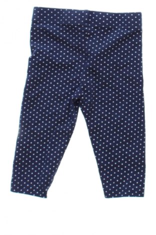 Dziecięce legginsy Orchestra, Rozmiar 6-9m/ 68-74 cm, Kolor Kolorowy, Cena 25,29 zł
