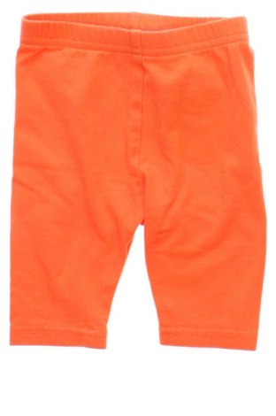 Dziecięce legginsy Unbranded, Rozmiar 3-6m/ 62-68 cm, Kolor Pomarańczowy, Cena 27,53 zł