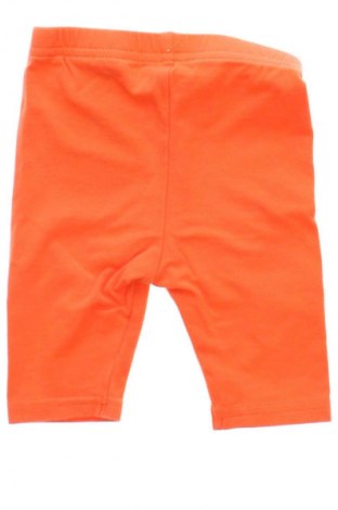 Dziecięce legginsy Unbranded, Rozmiar 3-6m/ 62-68 cm, Kolor Pomarańczowy, Cena 27,53 zł