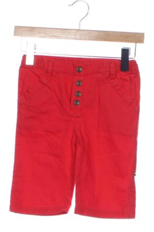 Dziecięce spodnie Ej Sikke Lej, Rozmiar 5-6y/ 116-122 cm, Kolor Czerwony, Cena 6,99 zł