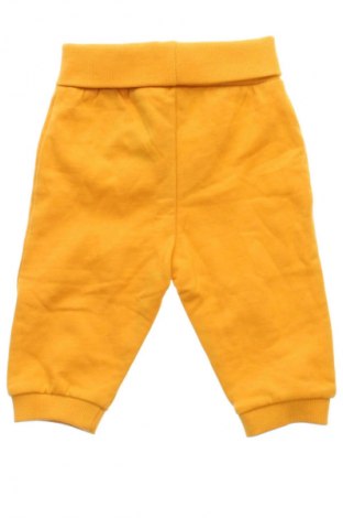 Dziecięce spodnie sportowe Ergee, Rozmiar 2-3m/ 56-62 cm, Kolor Pomarańczowy, Cena 45,17 zł