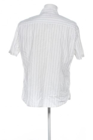 Herrenhemd S.Oliver, Größe L, Farbe Mehrfarbig, Preis € 9,99