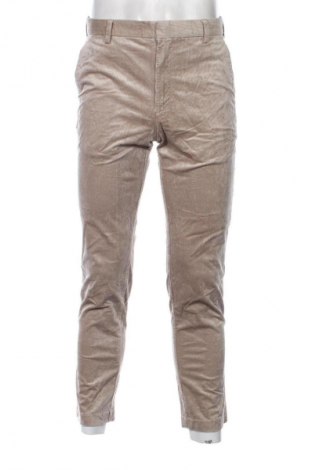 Herren Cordhose H&M, Größe S, Farbe Beige, Preis € 3,99
