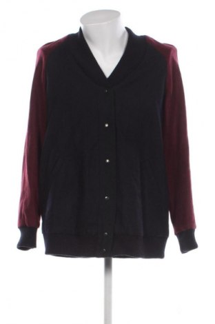 Pánská bunda  BDG, Velikost L, Barva Vícebarevné, Cena  159,00 Kč