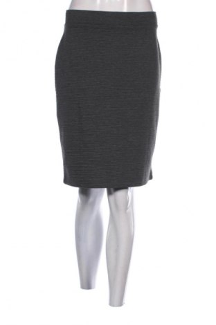Sukňa Esmara, Veľkosť M, Farba Sivá, Cena  2,95 €