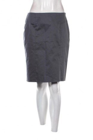 Sukně Jake*s, Velikost M, Barva Šedá, Cena  159,00 Kč