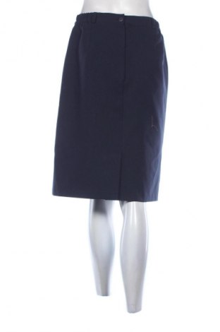 Sukně Unbranded, Velikost L, Barva Modrá, Cena  79,00 Kč