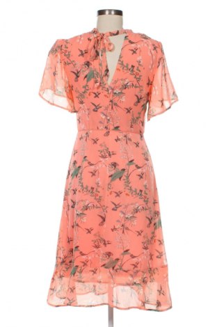 Šaty  Oasis, Velikost M, Barva Vícebarevné, Cena  359,00 Kč